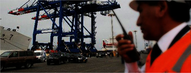 Global Motors Mexico